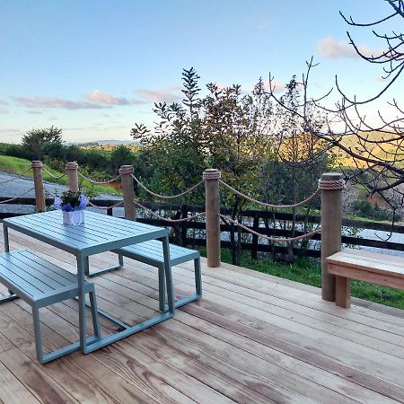 Secluded, Private Rural Retreat Mins From Warkworth -"Avondale" Minihouseヴィラ エクステリア 写真